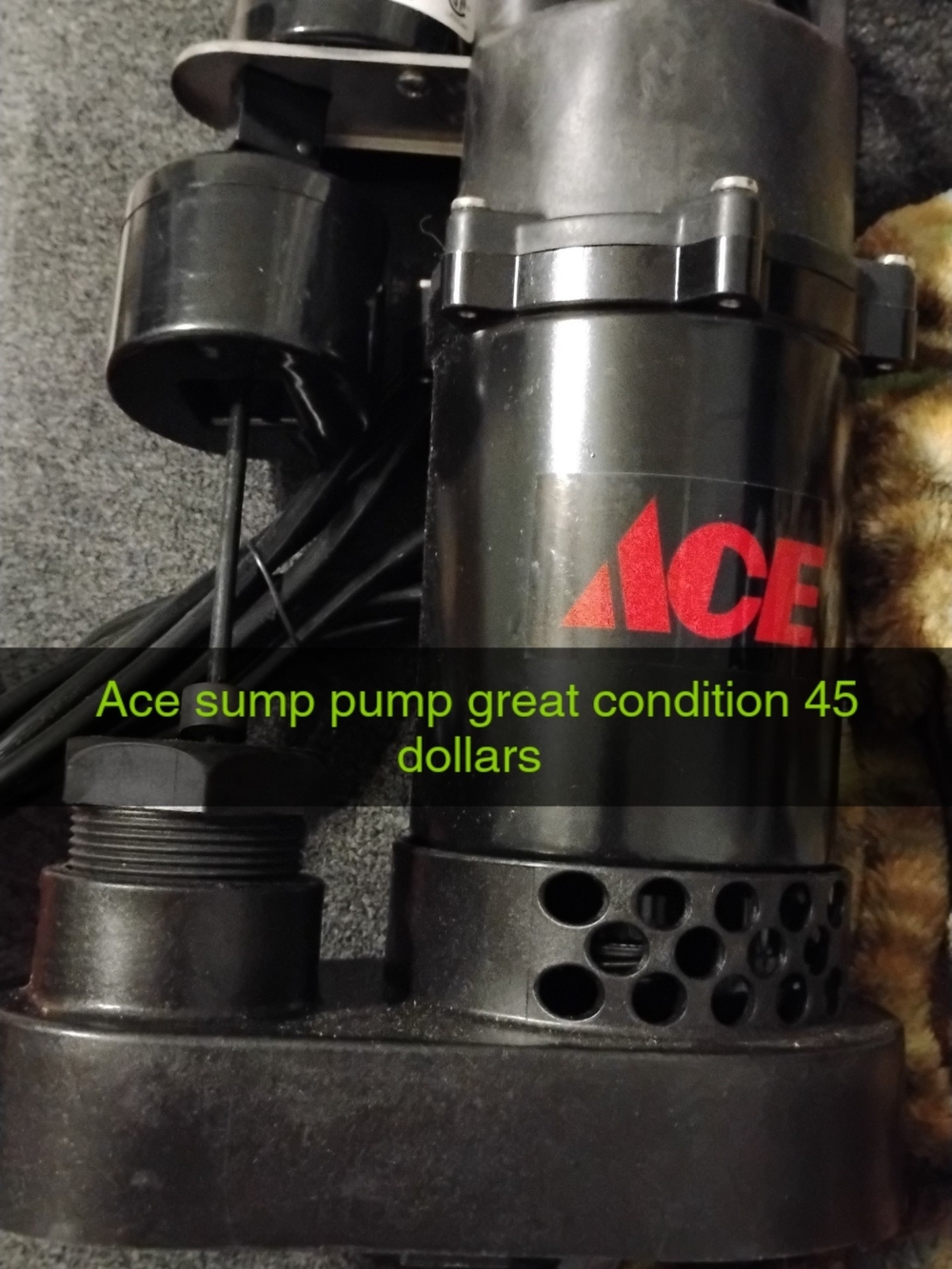 Black Sump Pump - Reliable Basement Water Removal